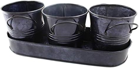 3 Pot Dark Galvanized 4" Metal Bucket Planter Pail 12"x4"x2" Tray Serveware Set Kitchen Collection Herb Garden by Well Pack Box