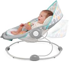 taggies soft n snug bouncer