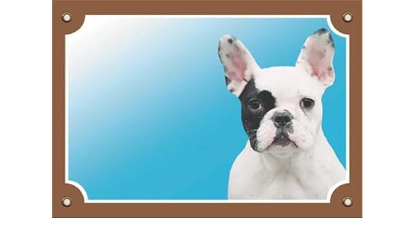 jug x french bulldog