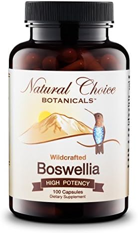 Wildcrafted Boswellia Serrata Extract (65% Boswellic Acids) Supplement - 100 Veggie Capsules