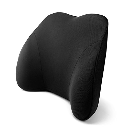 Mini Supportive Memory Foam Back Cushion Lumbar Support Pillow, Ergonomic Design for Lower Back Pain Relief,Ideal Backrest for Computer/Office Chair/Car Seat/Home/etc, Black