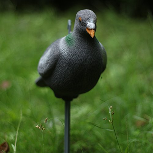 Jili Online Pigeon Decoy Hunting Bait Shooting Trap Pest Control Garden Scarecrow 30cm