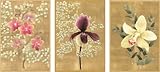 Entertaining with Caspari Orchids Blank Notecards, Set of 8