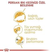 ROYAL CANIN Persian Dry Cat Food 10 kg view 4