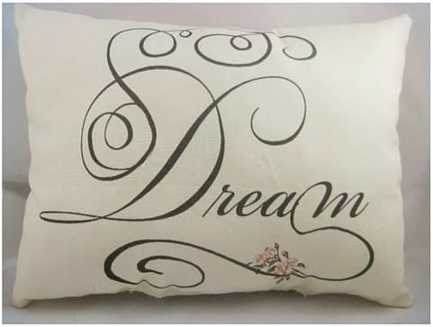 Dream script writing pillow home decor quotes