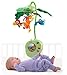 Fisher-Price Rainforest Peek-a-Boo Leaves Musical Mobile