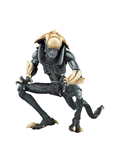 NECA - Aliens vs Predator (Arcade Appearance) - 7" Scale Action Figures - Chrysalis