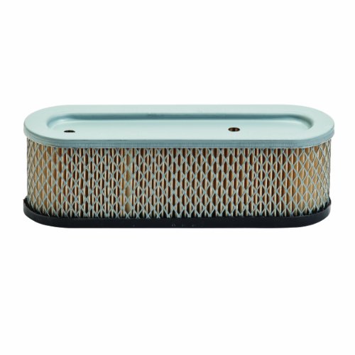 Oregon 30-107 Air Filter Replacement for Briggs & Stratton 491519, 399806, 399806S