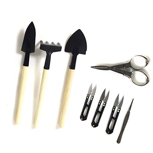 Foxany Bonsai Tools Kit 8 Pcs, Succulent Garden Tools Set, Thread Snips, Fold Scissors, Tweezers, Rake & Spades Transplanting Miniature Bonsai Trimming Set for Plants Care