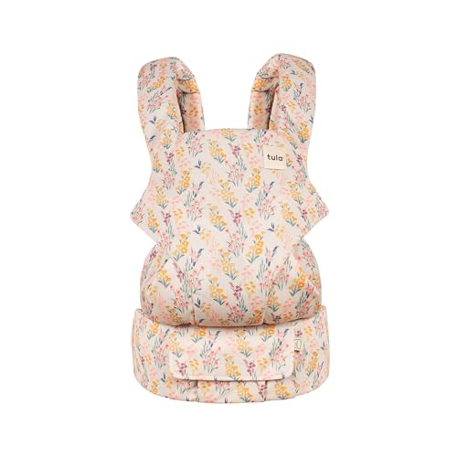Baby Tula Coast Explore Mesh Baby Carrier, Adjustable Newborn to Toddler Carrier, Ergonomic and Multiple Positions for 7 – 45 pounds