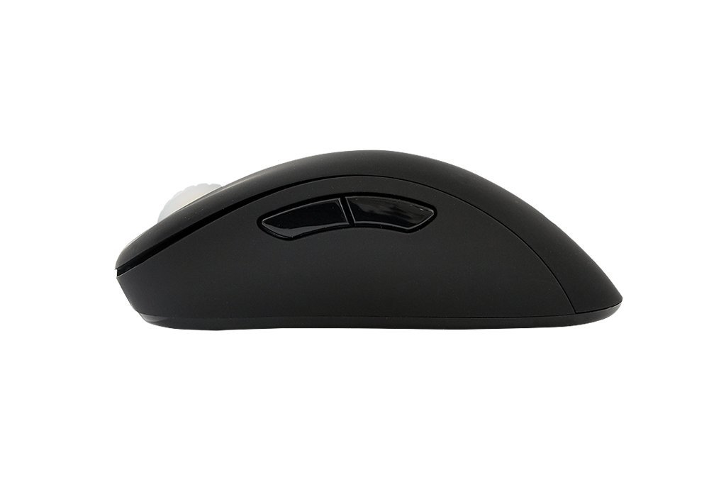 Zowie Gear Optical Gaming Mouse (Zowie Gear EC2 eVo)