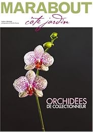 Spécial Orchidées