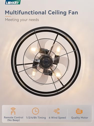 LEDIARY 20 inch Fandelier Caged Ceiling Fan with Light, Bladeless Ceiling Fan with Remote, Farmhouse Fan Lights Ceiling Fixtures for Kitchen, Bedroom, Outdoor(6 Speed, Timing)-Black