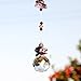 H&D 30 mm Crystal Hanging Suncatcher Ball Prism Home Wedding Decoration Hand Crafts (Purple)