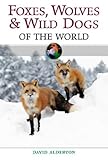 Foxes, Wolves and Wild Dogs of the World (Of the World)