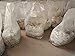 Mushroom Bags,Mushroom Grow Bag/Farm-Mushroom Spawn Bags/Sealable Spawn/Myco Bags,Large Size 8″ X 5″ X 19″,0.5 Micron Filter, 3 Mil Polypropylene,for Su,for Substrate Autoclavable Mushroom Cultivationthumb 4