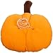 Mystic Industries Pumpkin Halloween Vehicle Costume