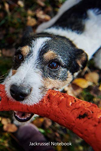 Jackrussel: Small lined Jackrussel notebook - Travel Journal to write in - 120 pages - 6"x9"