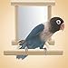 qsbai Bird Stand Platform Toys Mirror Shelf for Birds Parrots climp Playing Swingthumb 2