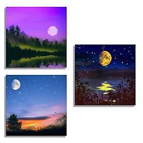 3 Piece Canvas Wall Art for Living Room Bedroom Home Artwork Charming Moonlight Paintings Ready to Hang - 12"x12"x3 Panels