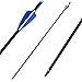 YONNEY Fiberglass Arrows 30-Inch Glass Fiber Arrows for Practice Hunting Outdoor (Pack of 12) for Traditional Recurve Bow ＆ Composite Bow Hunting Bow - Blue