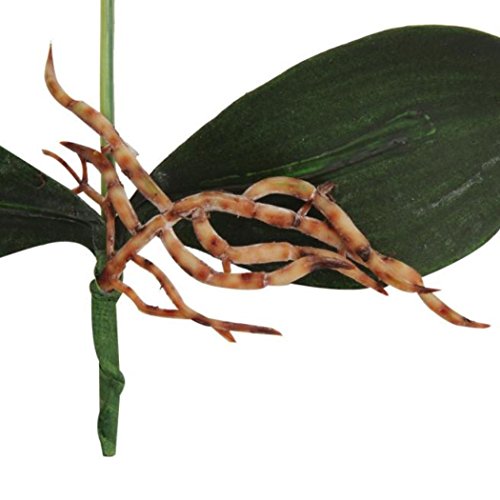Vibola® Artificial flowers silk flower fake butterfly orchid with leaves Phalaenopsis floras for wedding home decoration (Red)