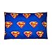 Comforter Set Twin - Superman Shield - Twin Bed 86