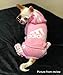 Idepet Cotton Adidog Dog Hoody, XS, Pink
