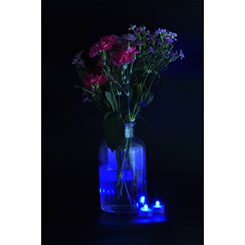 Submersible LED Lights cr2032 Battery Powered Underwater Waterproof LED Tea Light Candles for Events Wedding Centerpieces Vase Floral Xmas Holidays Home Decor Lighting(Pack of 12) (Blue)
