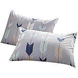 FenDie Pillow Cases Set of 2 - Arrow Feather Printed Pattern Standard Size (20
