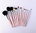 Essential Makeup Brush Set - With Makeup Brush Holder - Leather Carrying Case 12 Professional Quality Brushes