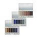 R.E.I.G.N 8 Color Eyeshadow Palette Kit, Set Of 3#65