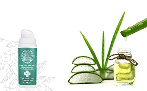 Face and Eyes Moisturizer Cream Drench Intense Daily Hydration 24hrs- Anti Aging Face Cream w/Vitami - //medicalbooks.filipinodoctors.org