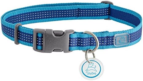 OllyDog MTN Reflective Collar, Large, Aloha Blue