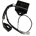 Caltric CDI Box Fits POLARIS ATV Trail Blazer 250 NEW 1990-2006