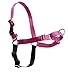 PetSafe/Premier Easy Walk HARNESS Simple Easy to Use Dogs PINK MEDIUM