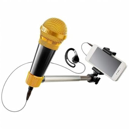 Image result for MICROPHONE SELFIE STICKS