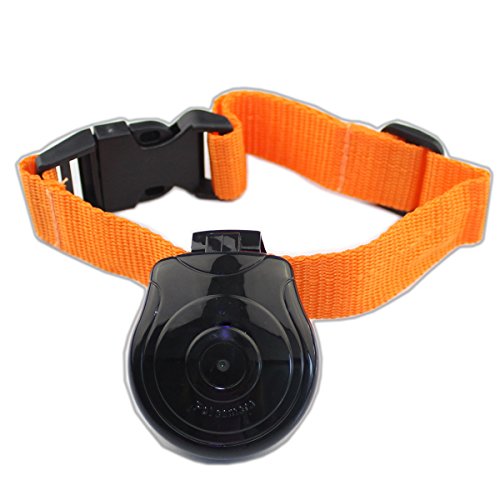 Digital color gift box package pet collar cam camera dv…