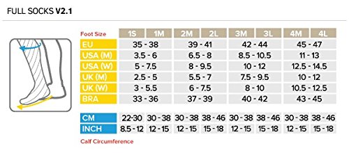 ãCOMPRESSPORTããµã¤ãºè¡¨ããã«ã½ãã¯ã¹ãã®ç»åæ¤ç´¢çµæ
