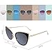FEISEDY Cat Eye Women Sunglasses Metal Frame UV400 HD Lenses B2249