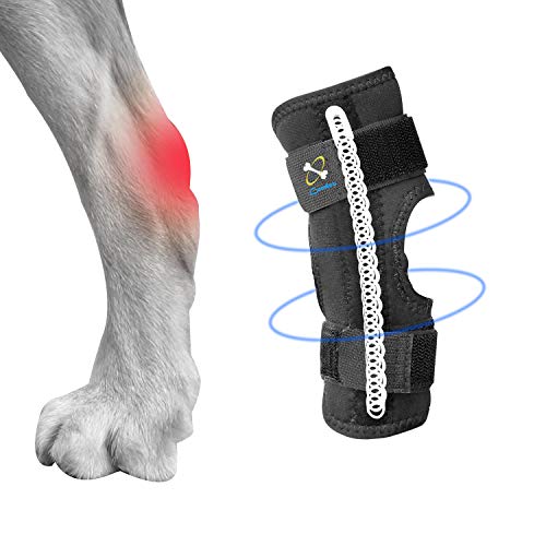 Coodeo Dog Knee Brace Coodeo Dog Knee Brace