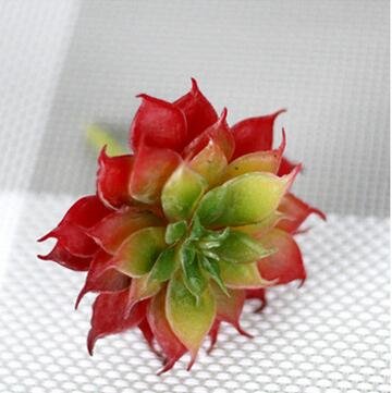 Plantes Grasses Artificielles Lotus Herbe Désert