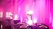 CHAUVET DJ EZpin IRC LED Pin Spot Light 6-Pack w/IRC-6 Remote & VIP Gear Bag
