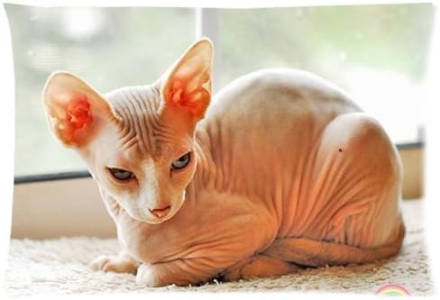 TSlook 40x50 Blankets Funny Hairless Cat Comfy Funny Bed Blanket