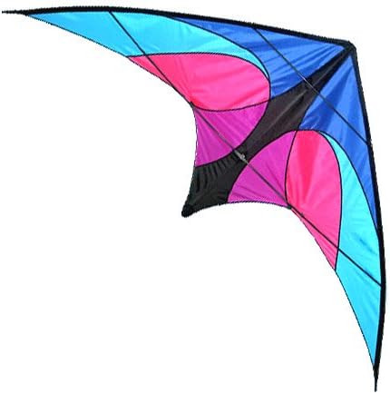 Beautiful Dual Line Control 81" Wingspan Stunt Kite Sport