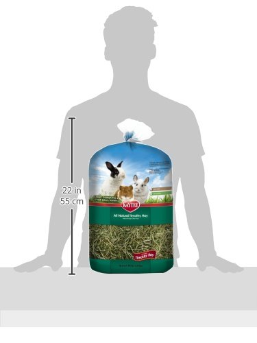 Kaytee Timothy Hay, 48-oz bag