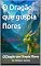 Livro O Dragão que cuspia flores