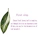 Leaf Necklace Statement Natural Leaf Necklace Boho Jewelry Silver Plated Leaf Pendant Necklace (White)