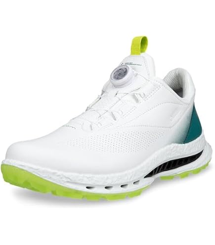 Amazon.com | ECCO Men's Biom C4 Boa Gore-tex Waterproof Golf Shoe