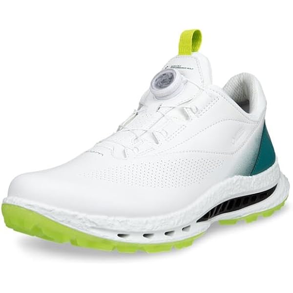 Amazon.com | ECCO Men's Biom C4 Boa Gore-tex Waterproof Golf Shoe